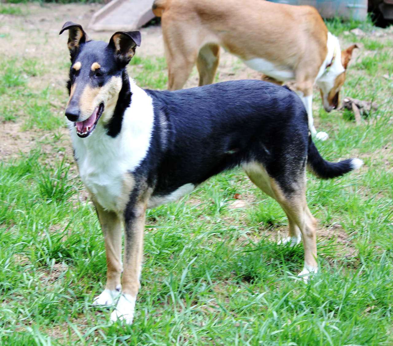 Mama Bijoux
